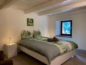 Lakeview House in Valle Verzasca