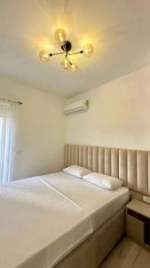 Apartment vosa 2