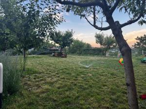 Mountain Panorama Garden BBQ ECO