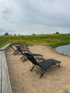 Briedžio sapnas - tipis vėjas