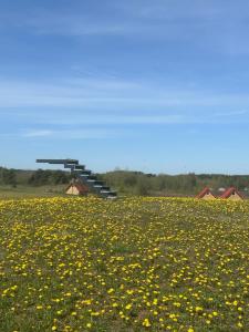 Briedžio sapnas - tipis vėjas