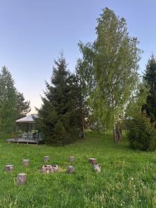 Briedžio sapnas - tipis vėjas
