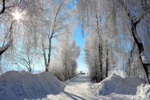 Appartements Prielau by we rent