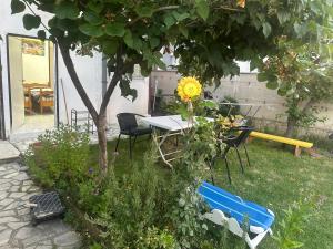 Rooms Struga free parking quiet area