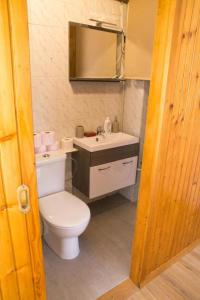Apartma Vila Kočna