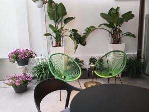 LOFT VENTURI apartment & garden