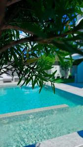 INTERNI LUXURY LIVING