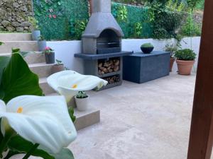 VILLA ROMA Resort