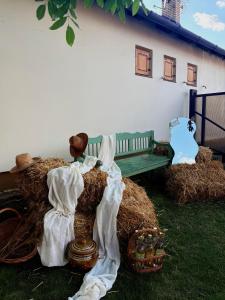 Rodjino imanje