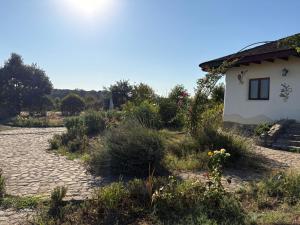 Casa din Pamant in Mijlocul Naturii