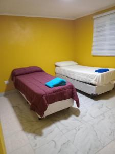 Brisas de la patagonias