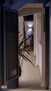 Sentio Thassos Suites