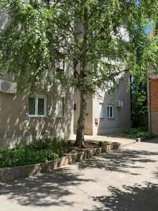 Apartman Milica
