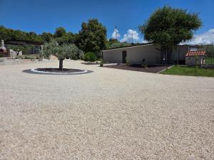 Monsena Olive