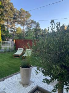Dushi Balaton Family-Friendly Vacation Home Near the Beach