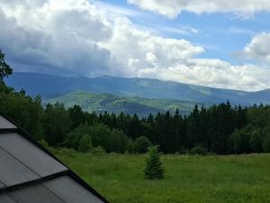 Apartamenty Wilcze Wzgórze