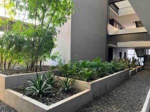 Good option - Apartment in San Salvador