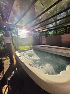 HotTub-MovieTheater-Gameroom