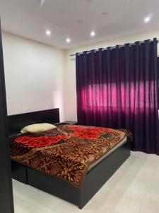 1 bedroom apartment shemesani