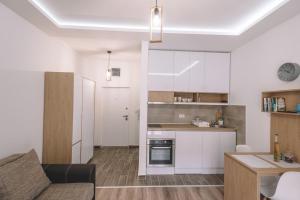 VS Studio Apartmani Banja Koviljača