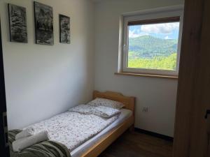 Wonderland Apartamenty