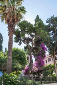Exclusive Syntagma & Plaka 2BD Townhouse