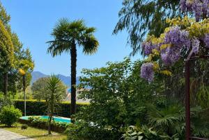 Acquazzurra, luxury duplex, pool, parking space, Free Wi-Fi