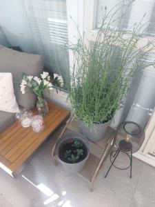 Vivito apartment