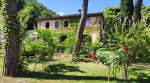 Villa la Ginestra - Charming Country Rooms