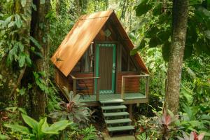 La Selva