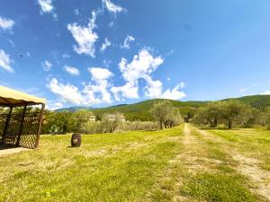 Casa Levante Toscana tra vino e ulivi