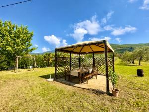 Casa Levante Toscana tra vino e ulivi