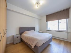 Apartment in Ostend near the Beach