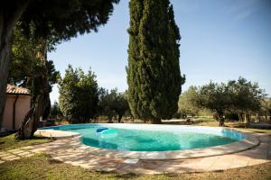 Villa With Pond Among Olive Trees Near Trapani