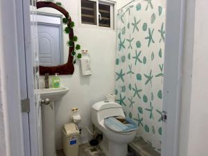 Constanza Downtown Apartment