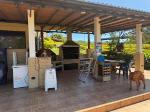 Casa - Finca Villa Violeta