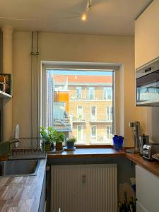 Apartment With Sunny Balconies In Vesterbro