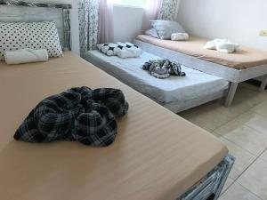 Your Amazing Home near Tourists spot 2 rooms