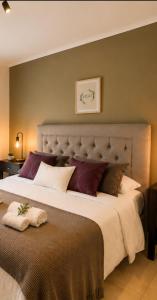 Terrazas Suites 11