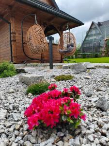 Apartamenty regionalne Skalny Potok