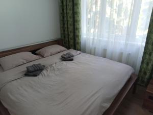 Bliss Point Apartments