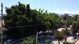 Apartamento Los Gladiolos