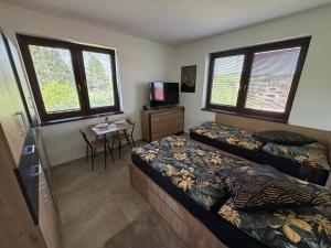 Apartmán Višňové