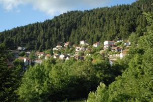 Omalia Village Orini-Nafpaktia Greece