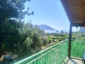 Greeksummer