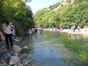 Omalia Village Orini-Nafpaktia Greece