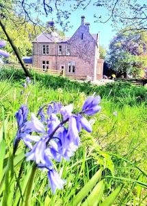 The Gables