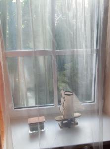 Forest Soul Apartment