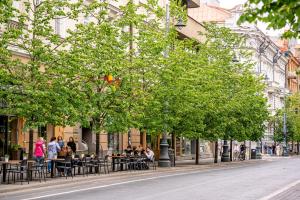 Luxury apartment Gedimino Pr Downtown with parking