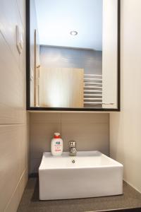 Luxury Studio - Vracar